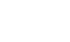 Twins Real Estate